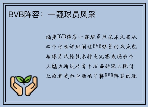 BVB阵容：一窥球员风采